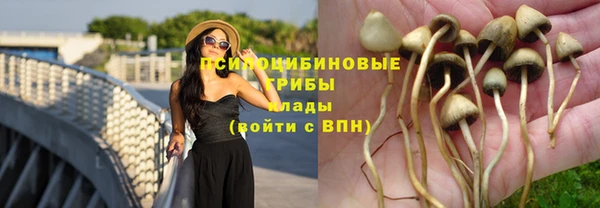 тгк Абинск