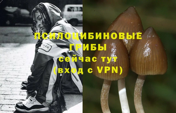 бутират Алзамай