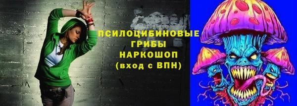 тгк Абинск