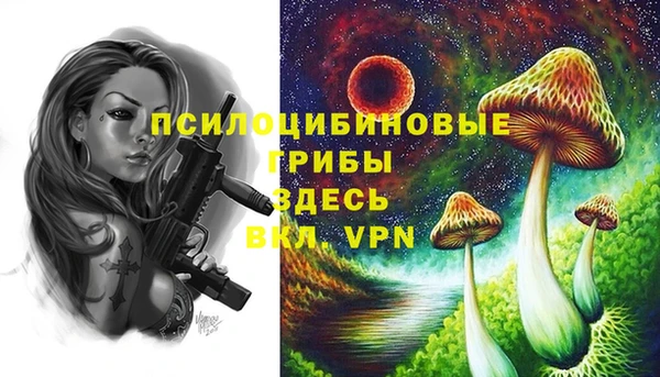 тгк Абинск