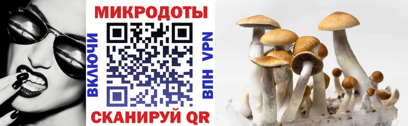 Галлюциногенные грибы Psilocybe  купить наркотики сайты  ОМГ ОМГ ссылки  Бугуруслан 